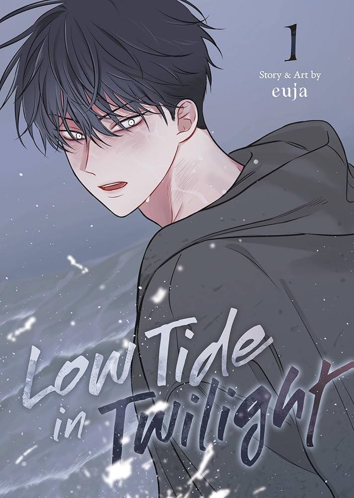 Low Tide in Twilight Cover